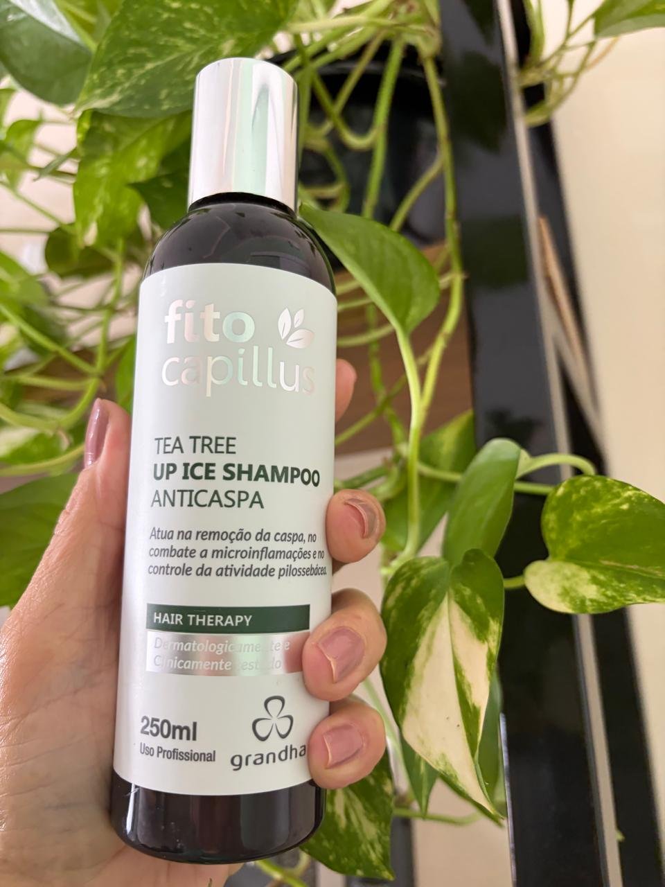 Shampoo Anticaspa Up Ice 250ml